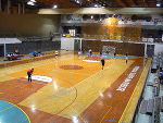 Die steirische Handball-Mannschaft ©      