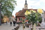 Komm mit nach Varazdin, solange noch die Rosen blühn ...