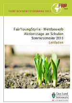 Leitfaden FairYoungStyria-Wettbewerb ©      