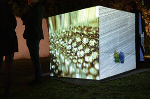 Cube "Secrets" im Garten © Veronika Erhart